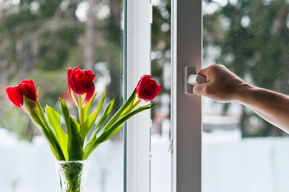 Evde oluşan küflerden kurtulmanın 3 yolu