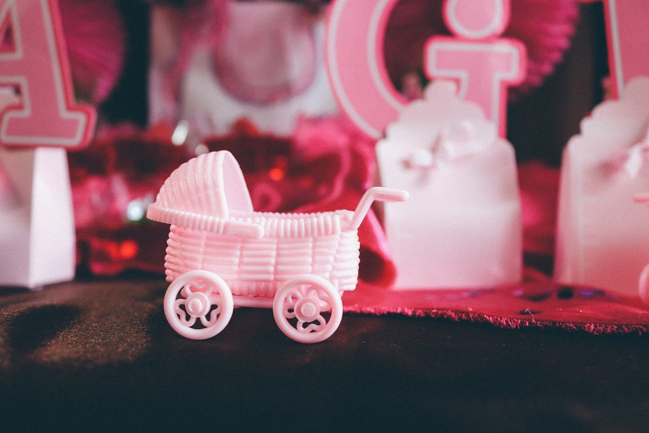 En İyi Bebek Arabası: UPPAbaby Vista mı, Bugaboo Cameleon mı?