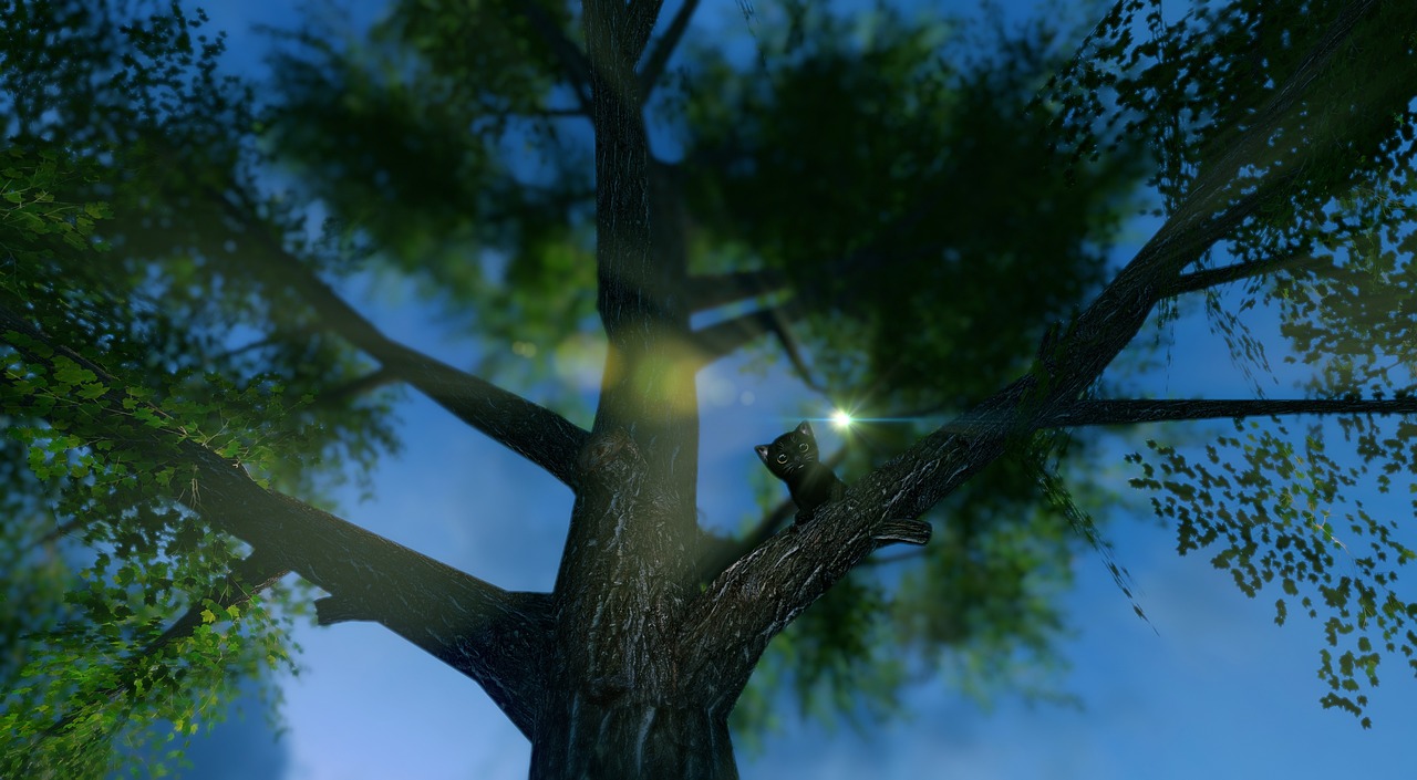 En İyi Kedi Tırmalama Direği: Trixie Pet Products mi, Pioneer Pet mi?