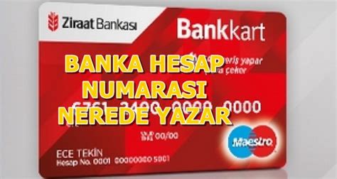 Tedaş Müşteri Hizmetleri Numarası Nedir?