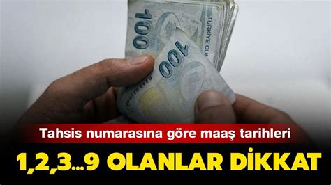 Tahsis Numarası 6 Olanlar Ne Zaman Maaş Alır?