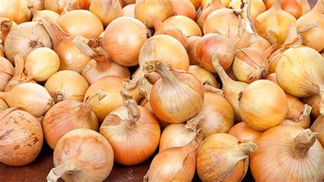 Soğan Rüyası: Rüyada Soğan Görmek