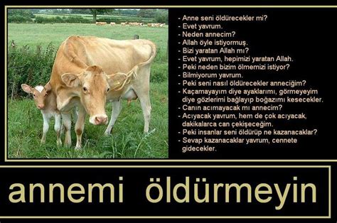 Kurban Rüyası: Rüyada Kurban Kesmek