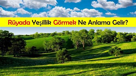 Yeşillik Rüyası: Rüyada Yeşillik Görmek