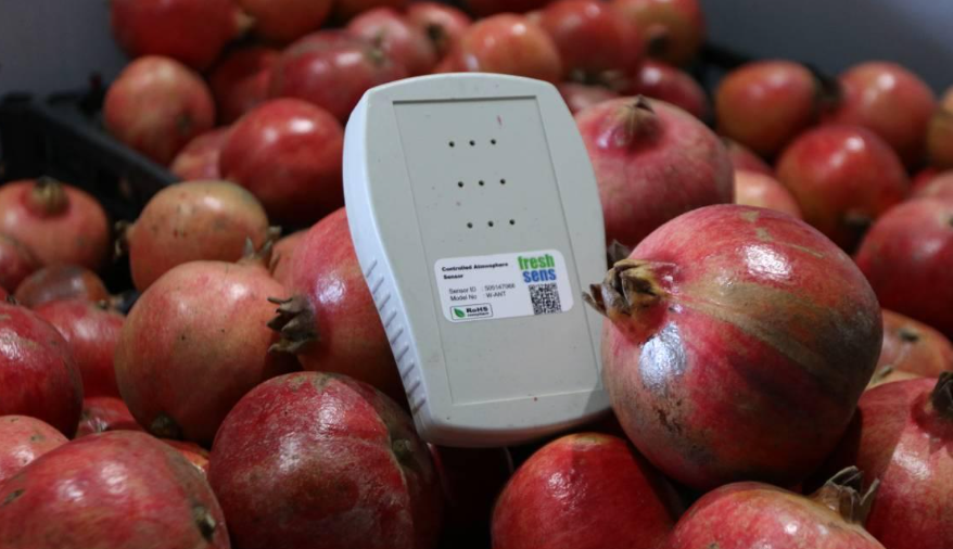 Yapay Zeka ile Meyve, Sebze ve Çiçeklerin Raf Ömrü Artıyor