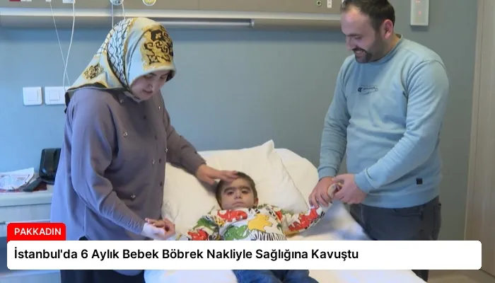 İstanbul’da 6 Aylık Bebek Böbrek Nakliyle Sağlığına Kavuştu
