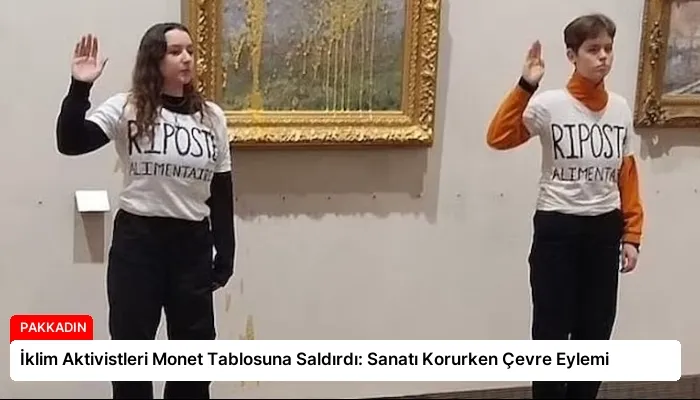İklim Aktivistleri Monet Tablosuna Saldırdı: Sanatı Korurken Çevre Eylemi