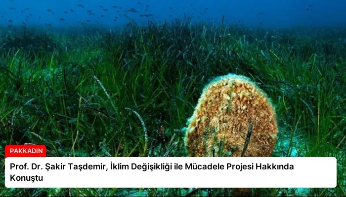 Prof. Dr. Şakir Taşdemir, İklim Değişikliği ile Mücadele Projesi Hakkında Konuştu