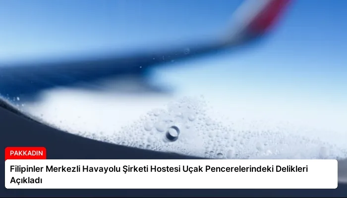 Filipinler Merkezli Havayolu Şirketi Hostesi Uçak Pencerelerindeki Delikleri Açıkladı
