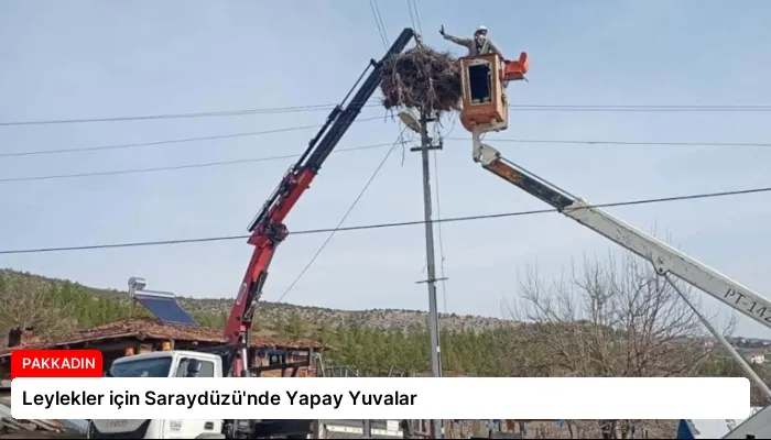 Leylekler için Saraydüzü’nde Yapay Yuvalar