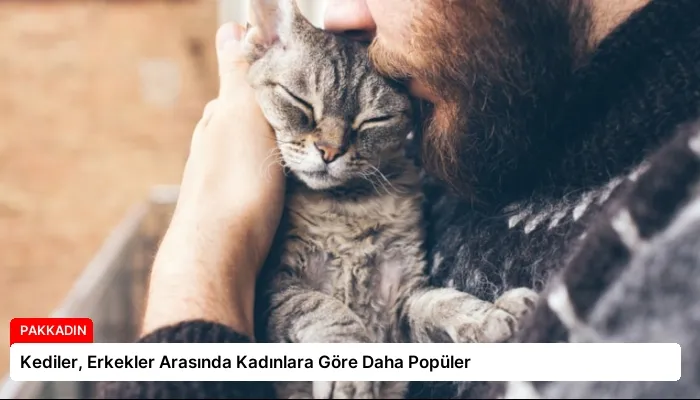 Kediler, Erkekler Arasında Kadınlara Göre Daha Popüler