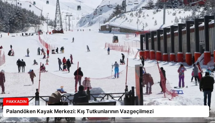 Palandöken Kayak Merkezi: Kış Tutkunlarının Vazgeçilmezi