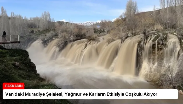 Van’daki Muradiye Şelalesi, Yağmur ve Karların Etkisiyle Coşkulu Akıyor