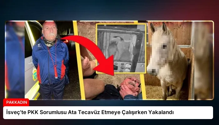 İsveç’te PKK Sorumlusu Ata Tecavüz Etmeye Çalışırken Yakalandı