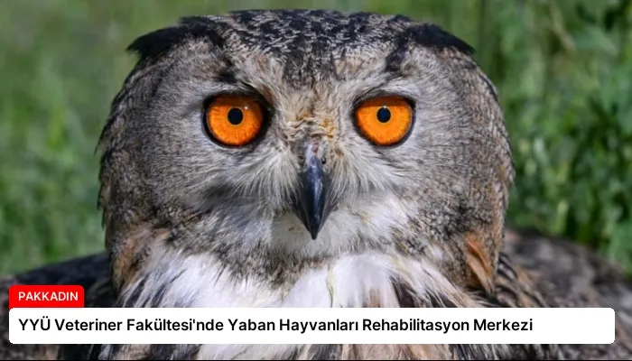 YYÜ Veteriner Fakültesi’nde Yaban Hayvanları Rehabilitasyon Merkezi