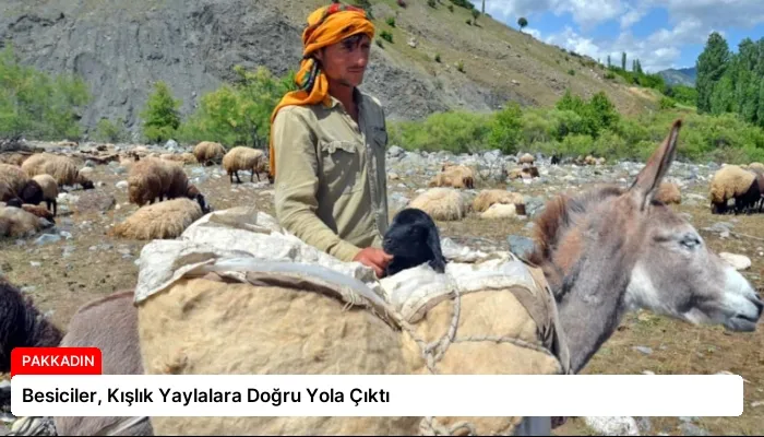 Besiciler, Kışlık Yaylalara Doğru Yola Çıktı