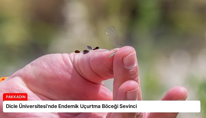 Dicle Üniversitesi’nde Endemik Uçurtma Böceği Sevinci