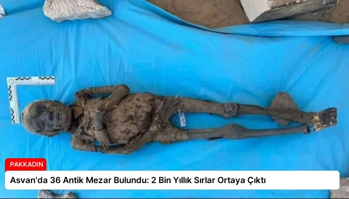 Asvan’da 36 Antik Mezar Bulundu: 2 Bin Yıllık Sırlar Ortaya Çıktı
