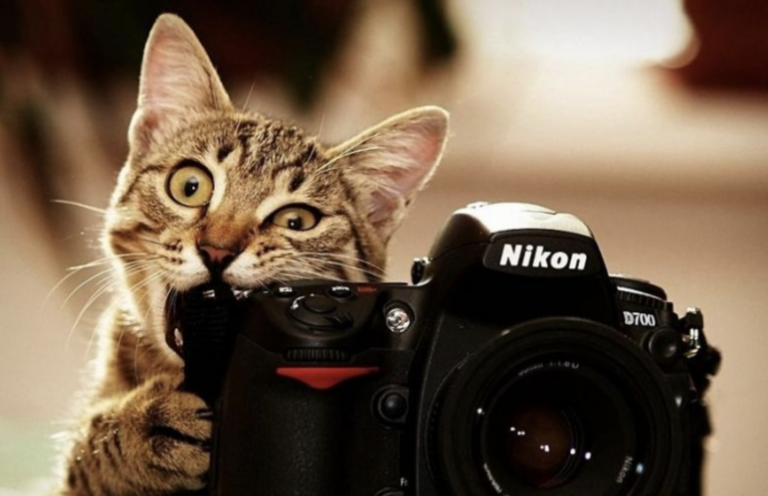Komik Fotoğrafları