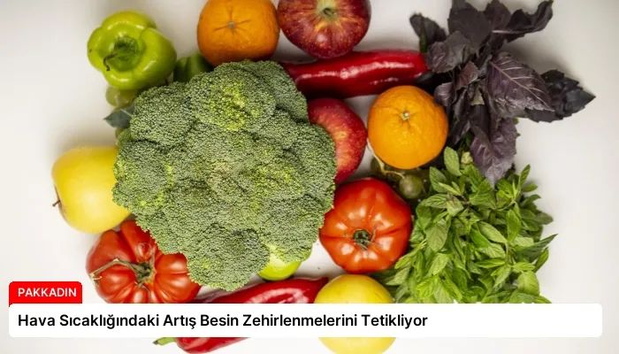 Hava Sıcaklığındaki Artış Besin Zehirlenmelerini Tetikliyor