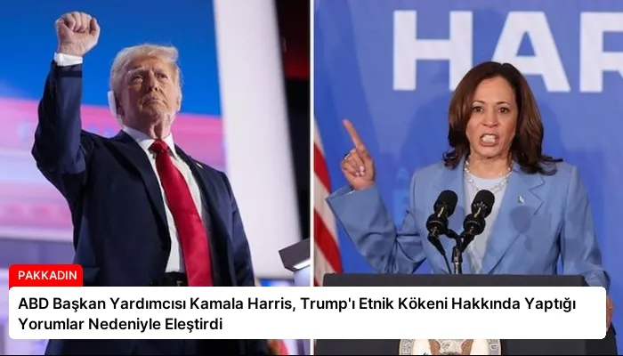 ABD Başkan Yardımcısı Kamala Harris, Trump’ı Etnik Kökeni Hakkında Yaptığı Yorumlar Nedeniyle Eleştirdi