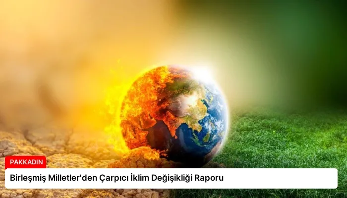 Birleşmiş Milletler’den Çarpıcı İklim Değişikliği Raporu