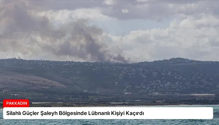 Silahlı Güçler Şaleyh Bölgesinde Lübnanlı Kişiyi Kaçırdı