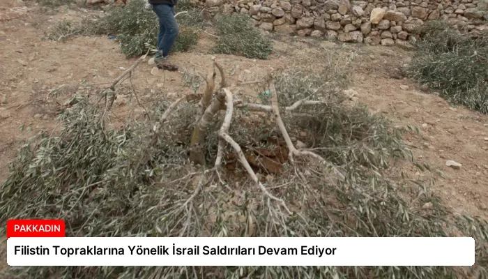Filistin Topraklarına Yönelik İsrail Saldırıları Devam Ediyor