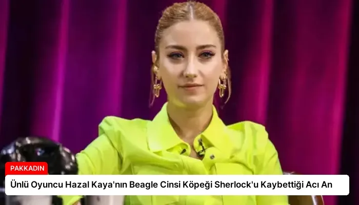 Ünlü Oyuncu Hazal Kaya’nın Beagle Cinsi Köpeği Sherlock’u Kaybettiği Acı An
