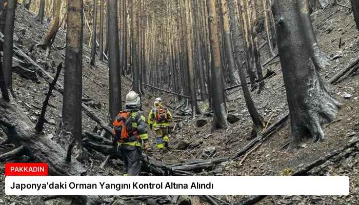 Japonya’daki Orman Yangını Kontrol Altına Alındı