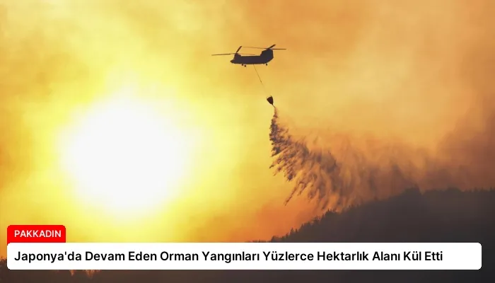 Japonya’da Devam Eden Orman Yangınları Yüzlerce Hektarlık Alanı Kül Etti