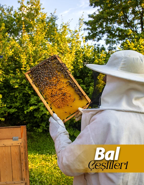 Süzme Balın Farklı Türleri