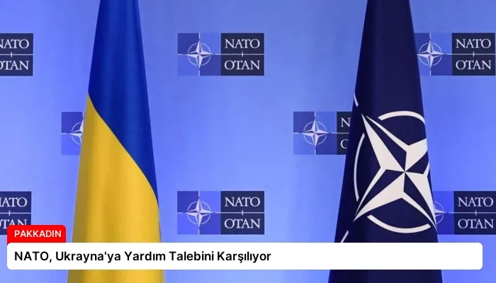 NATO, Ukrayna’ya Yardım Talebini Karşılıyor