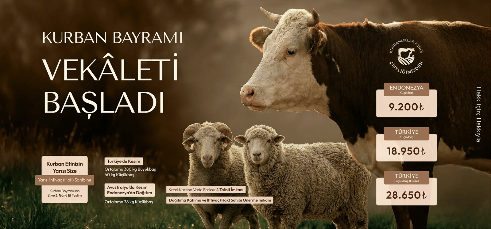 Kurban Bağışı Yaparken Aklınızda Bulunması Gereken Sorular