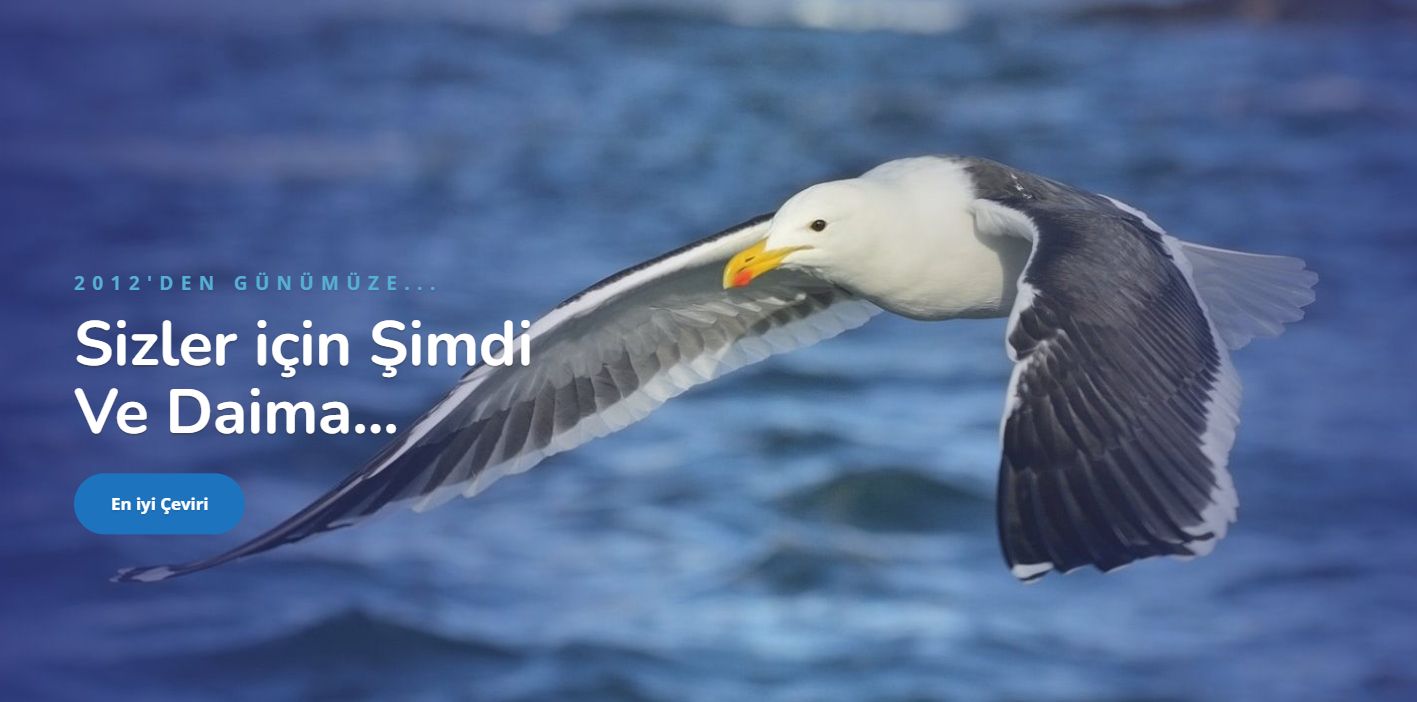 Tercüme Fiyatları – Tercüme