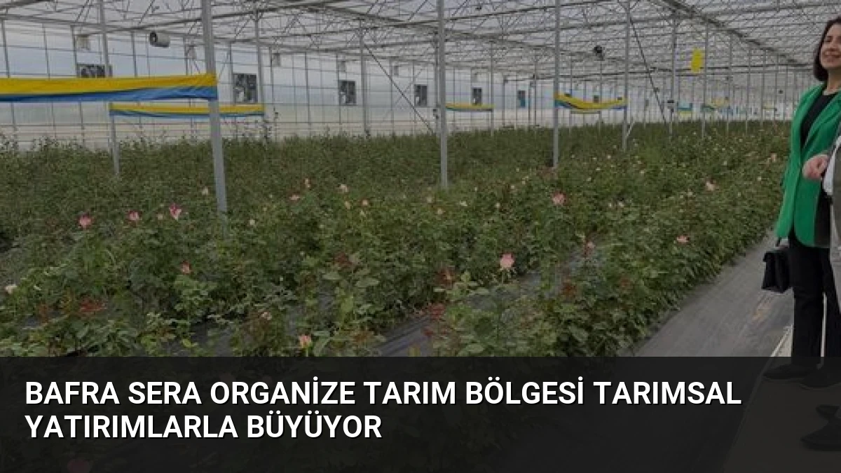 Bafra Sera Organize Tarım Bölgesi Tarımsal Yatırımlarla Büyüyor