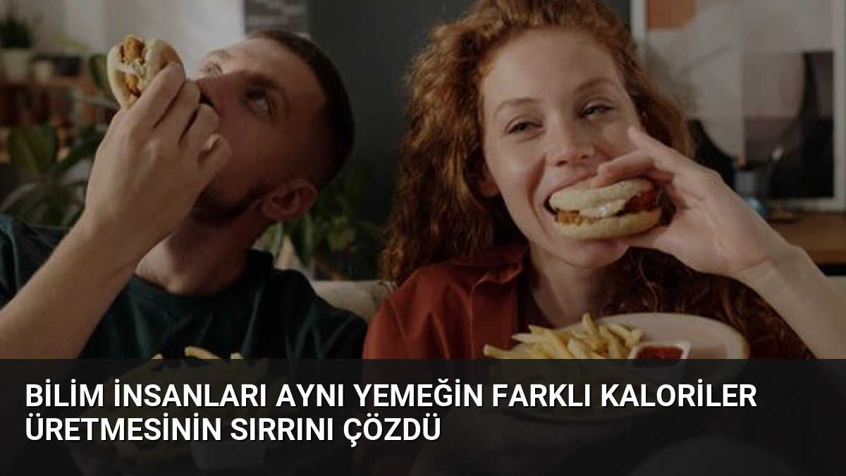 Bilim İnsanları Aynı Yemeğin Farklı Kaloriler Üretmesinin Sırrını Çözdü