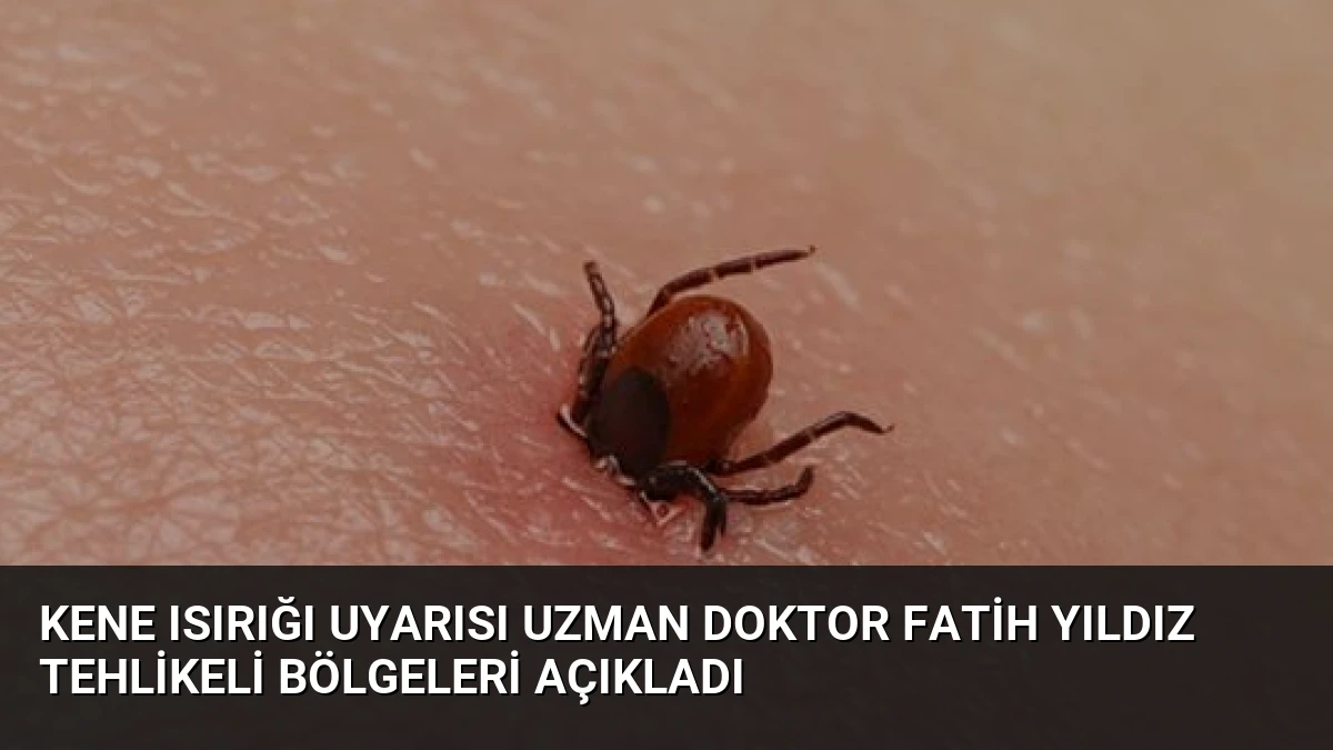 Kene Isırığı Uyarısı Uzman Doktor Fatih Yıldız Tehlikeli Bölgeleri Açıkladı