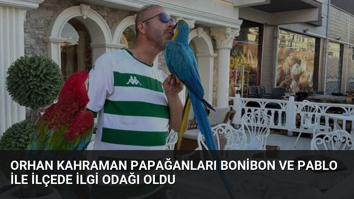 Orhan Kahraman Papağanları Bonibon ve Pablo ile İlçede İlgi Odağı Oldu