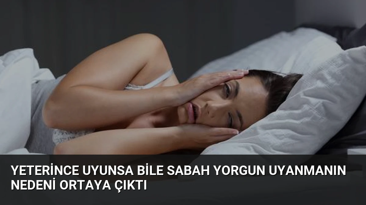Yeterince Uyunsa Bile Sabah Yorgun Uyanmanın Nedeni Ortaya Çıktı