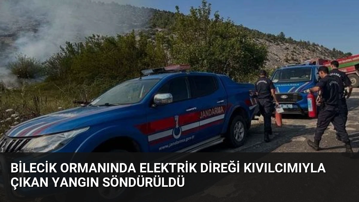 Bilecik Ormanında Elektrik Direği Kıvılcımıyla Çıkan Yangın Söndürüldü