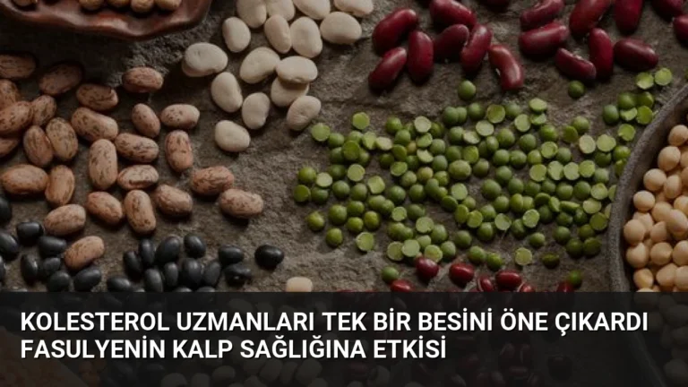 Kolesterol Uzmanları Tek Bir Besini Öne Çıkardı Fasulyenin Kalp Sağlığına Etkisi