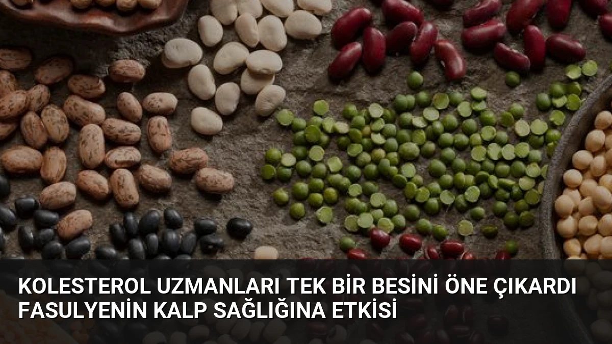Kolesterol Uzmanları Tek Bir Besini Öne Çıkardı Fasulyenin Kalp Sağlığına Etkisi