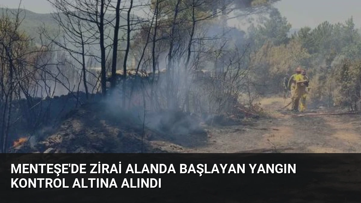 Menteşe’de Zirai Alanda Başlayan Yangın Kontrol Altına Alındı