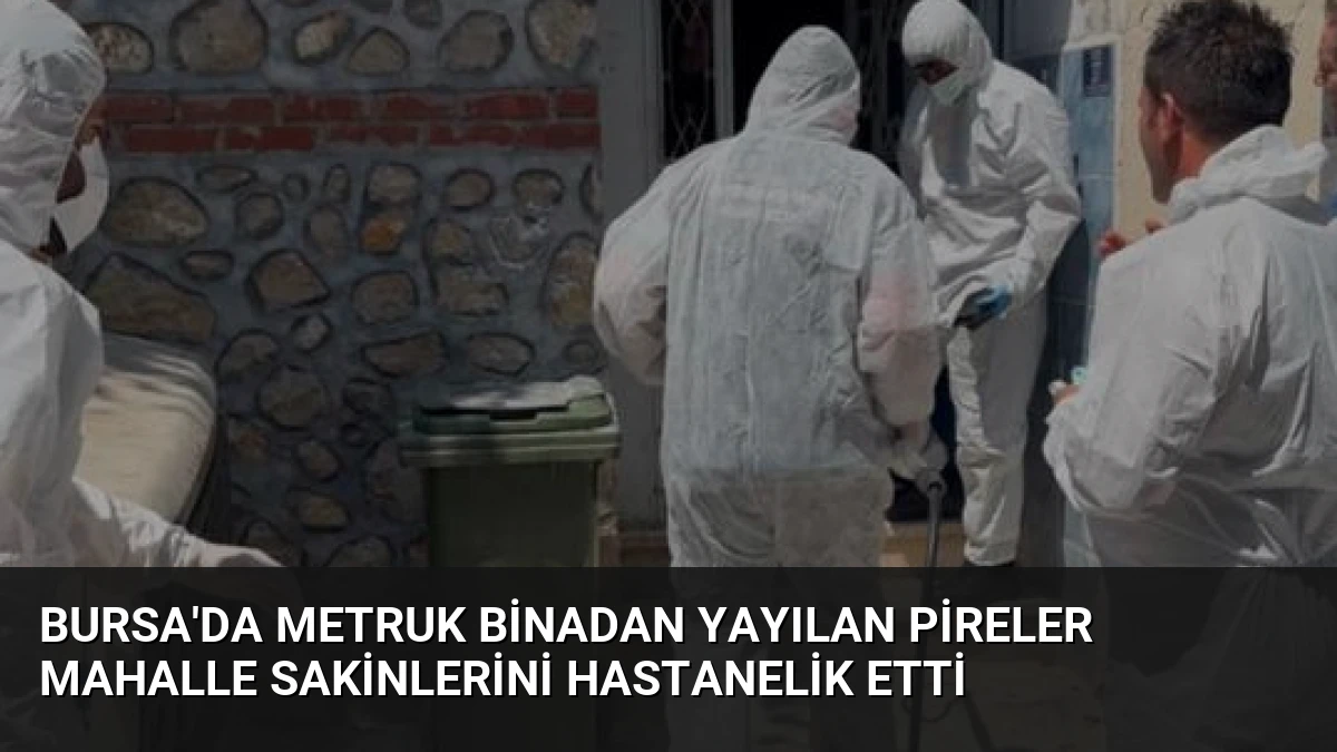 Bursa’da Metruk Binadan Yayılan Pireler Mahalle Sakinlerini Hastanelik Etti