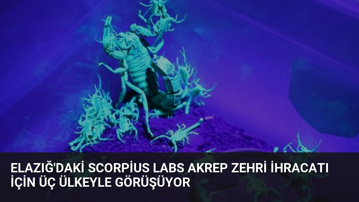 Elazığ’daki Scorpius Labs Akrep Zehri İhracatı İçin Üç Ülkeyle Görüşüyor