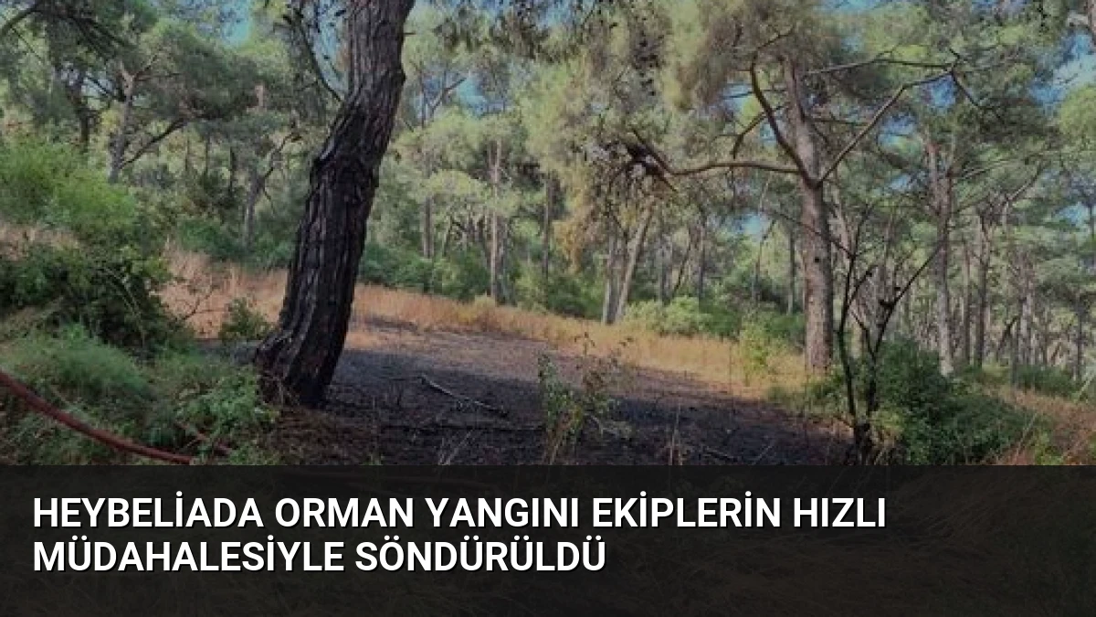 Heybeliada Orman Yangını Ekiplerin Hızlı Müdahalesiyle Söndürüldü