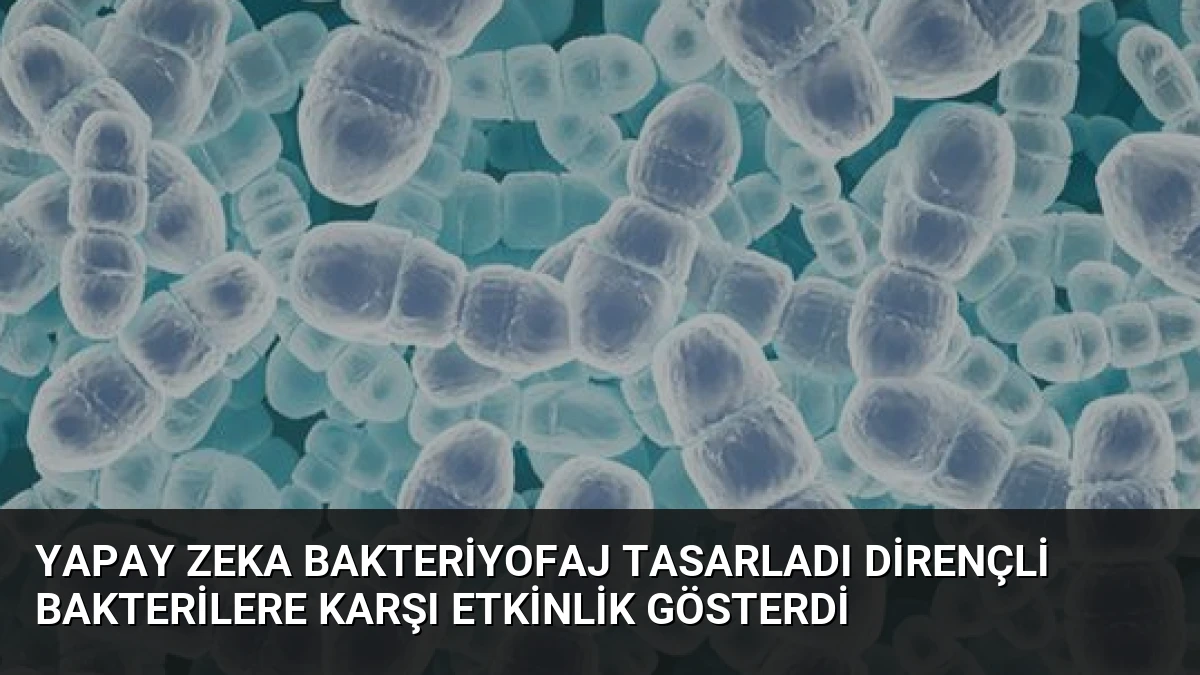 Yapay Zeka Bakteriyofaj Tasarladı Dirençli Bakterilere Karşı Etkinlik Gösterdi