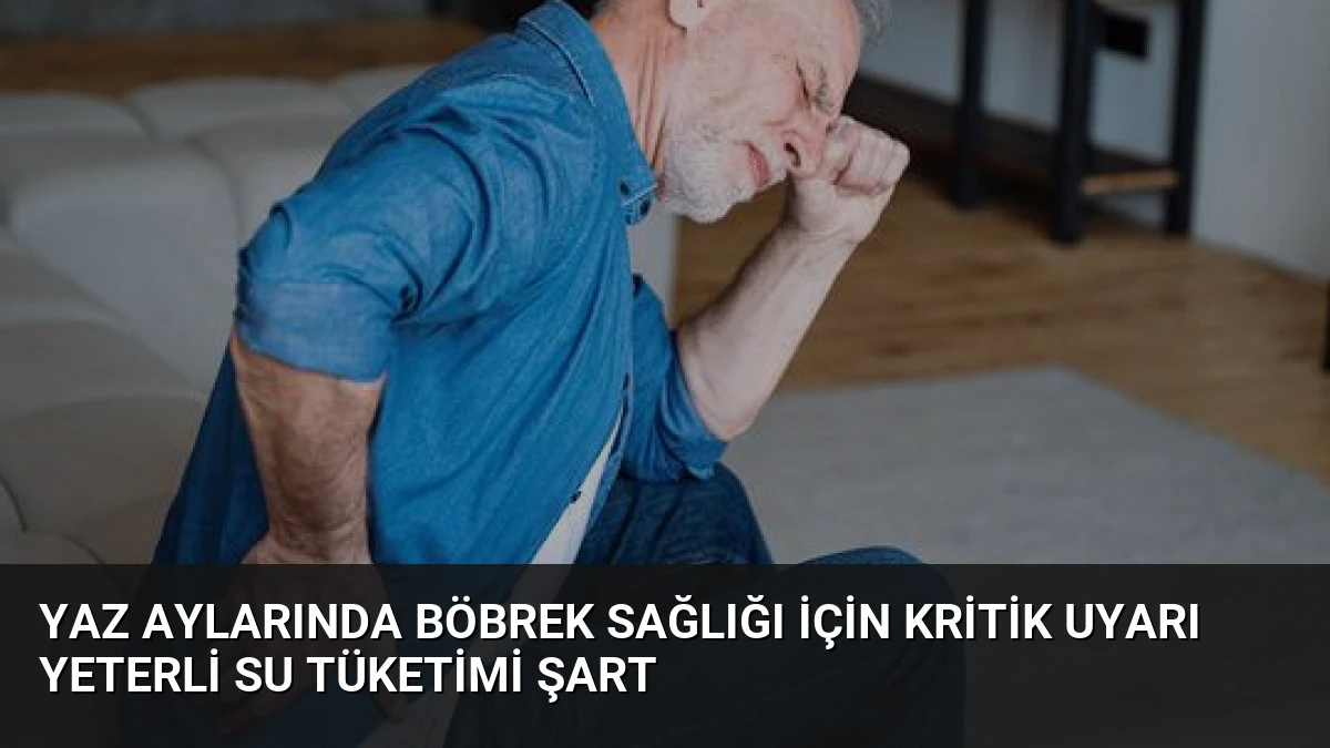 Yaz Aylarında Böbrek Sağlığı İçin Kritik Uyarı Yeterli Su Tüketimi Şart