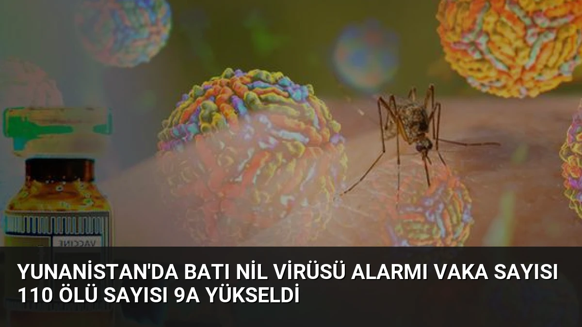 Yunanistan’da Batı Nil Virüsü Alarmı Vaka Sayısı 110 Ölü Sayısı 9a Yükseldi